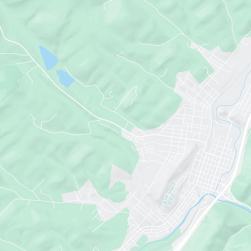 1046 Janesville Pike, Tyrone, 16686, PA, United States map image