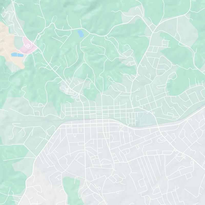 338 N. Pond Street, Boyd Field, Toccoa, 30577, GA, United States map image