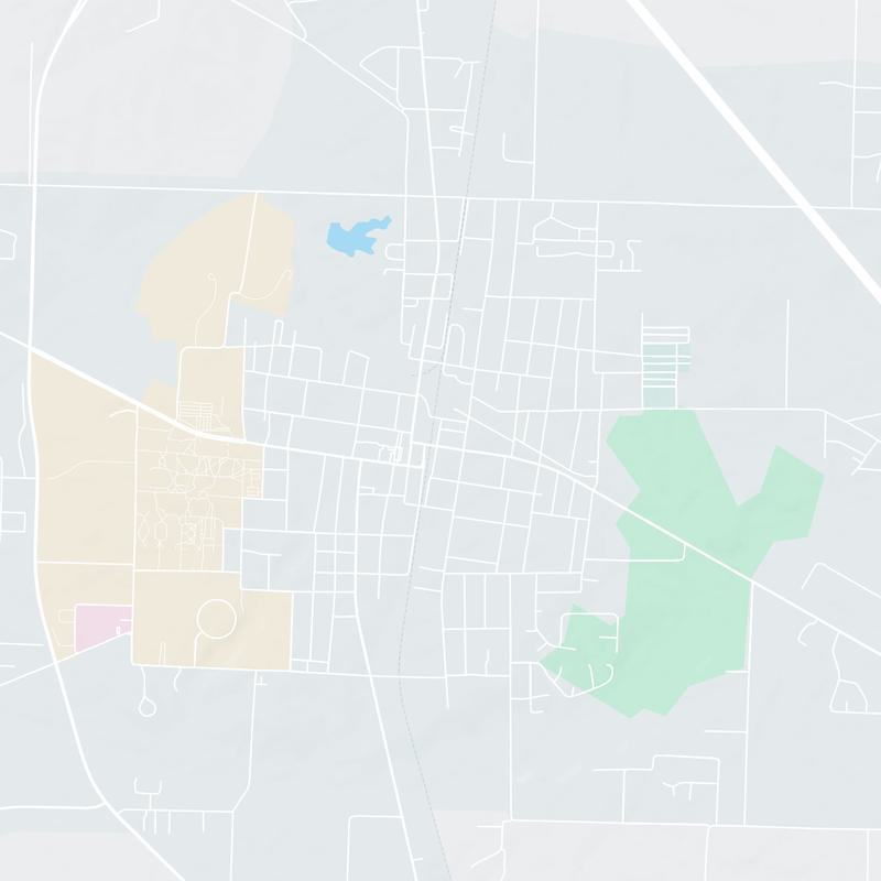 310 Broadway Street, Martin, 38237, TN, United States map image