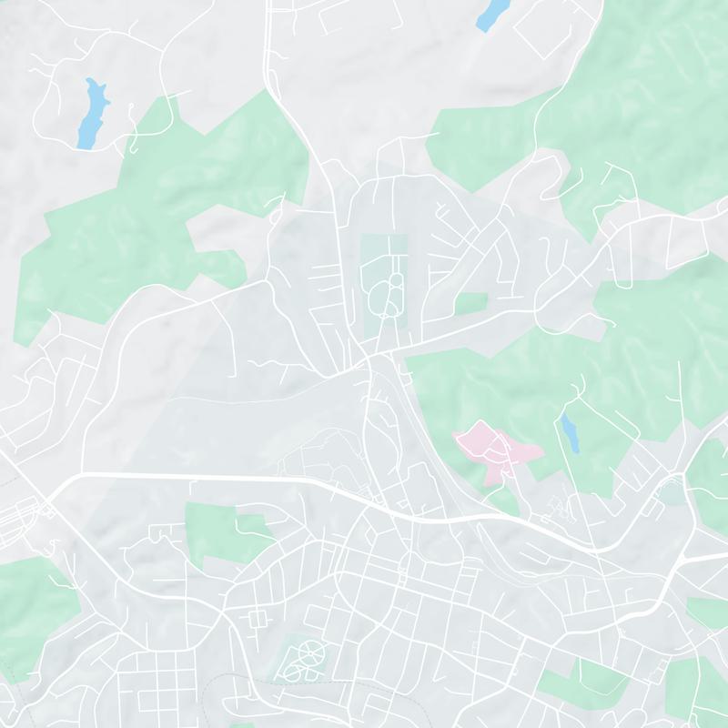 699 Liberty St., Martinsville, 24112, VA, United States map image