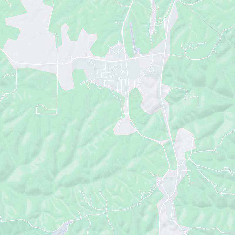 345 Morrill Lane, Reeds Spring, 65737, MO, United States map image