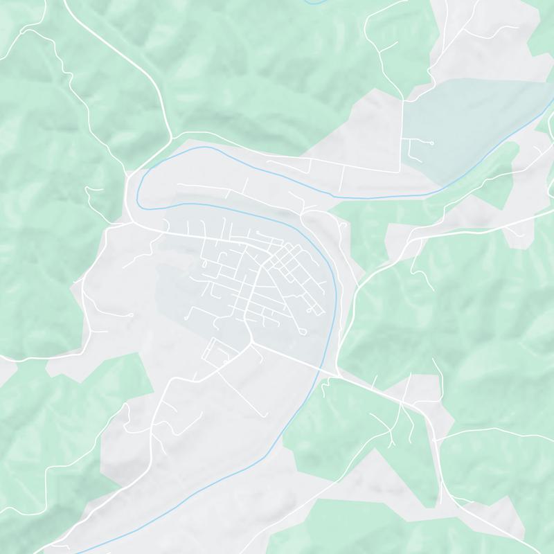 91 School View Street, Elizabeth, 26143, WV, United States map image