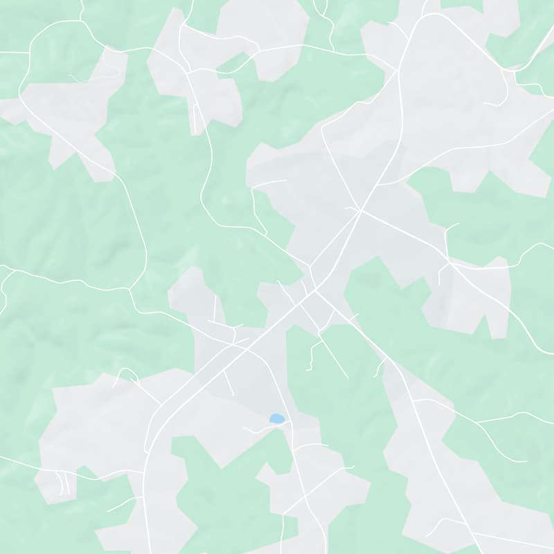 137 Deviney St., Casar, 28020, NC, United States map image