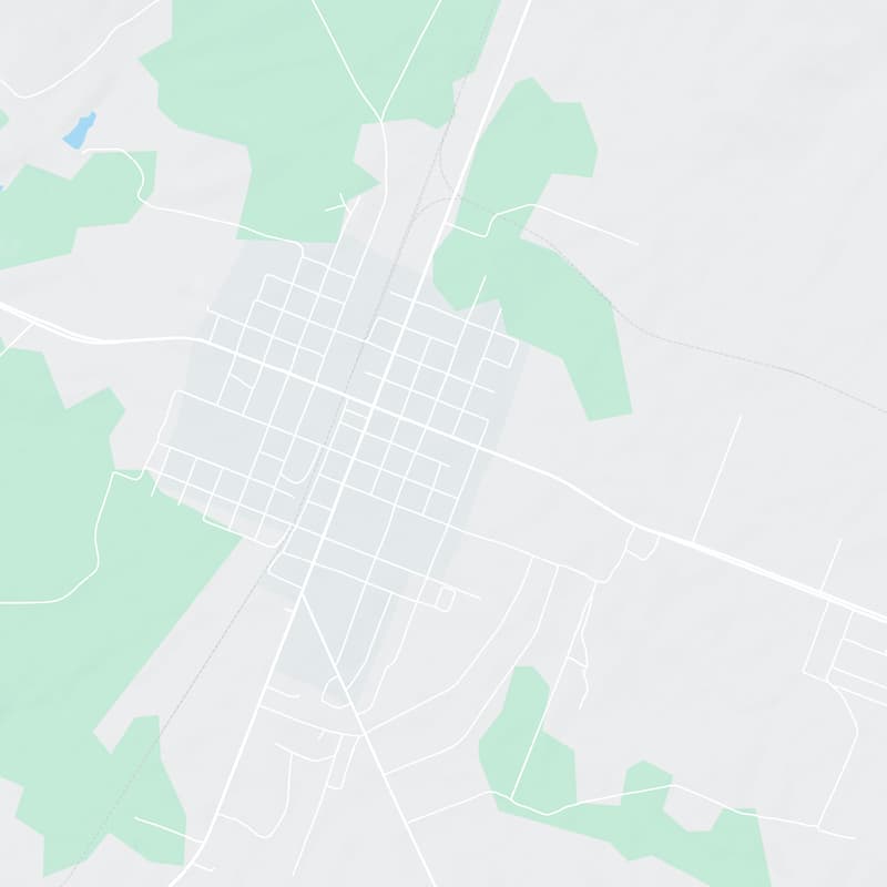 264 E. Pine Ave, McBee, 29101, SC, United States map image