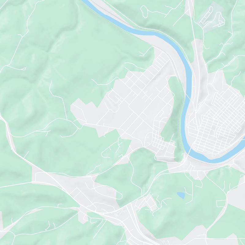 1116 Gosser Street, Leechburg, 15656, PA, United States map image