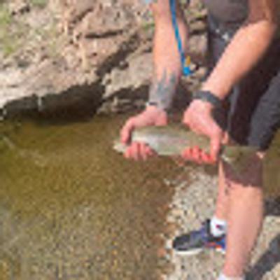 Freddy Smith profile picture