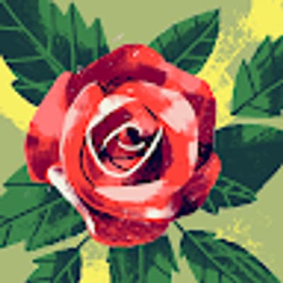Rosa Castillo profile picture