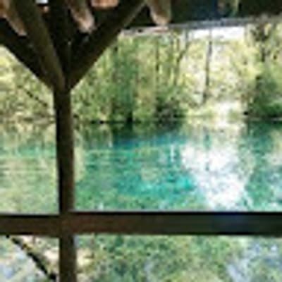 Taylor Turosz profile picture